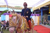 Sunil Photo Gallery
